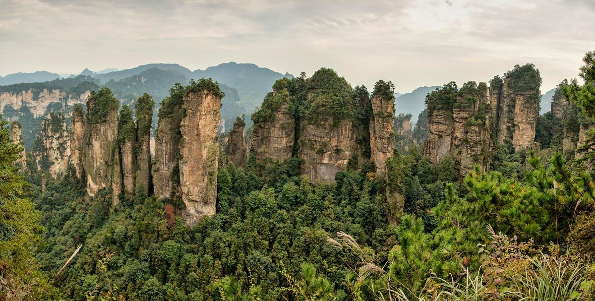 The quartzite pillar forest of Zhangjiajie in green season