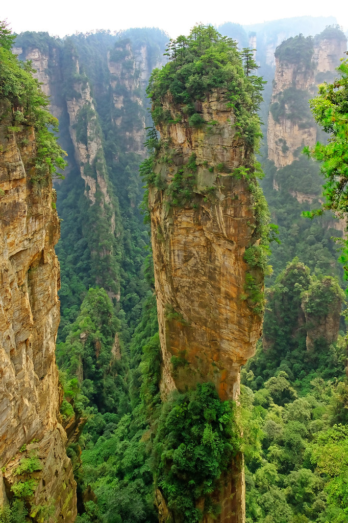 Morning fog over the quartzite pillar forest in Zhangjiajie